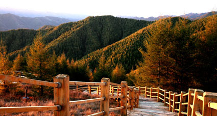 苏木山森林公园